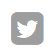 twitter-icon-opt